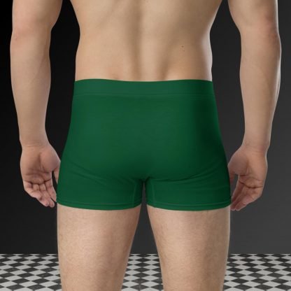 I Got a Package For You Christmas Boxer Briefs - Plus Sizes - Image 3