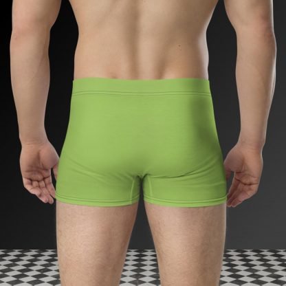 Pickle Boxer Briefs - Plus Sizes - Image 3
