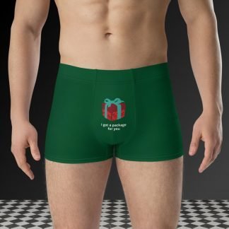 I Got a Package For You Christmas Boxer Briefs - Plus Sizes